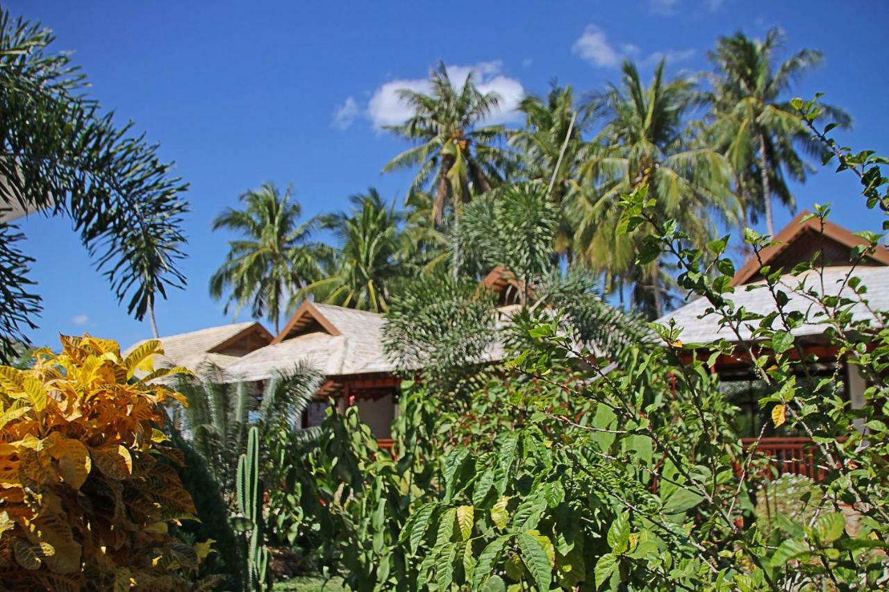 The Nest El Nido Beach Resort Dış mekan fotoğraf